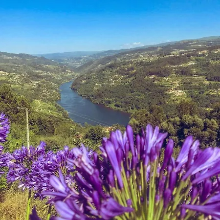 Nyaraló Mira Douro Valley