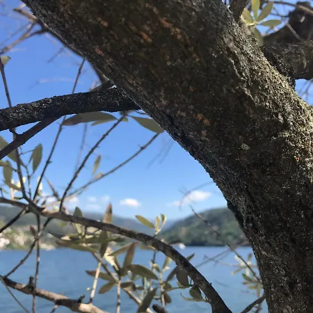 別荘 Mira Douro Valley