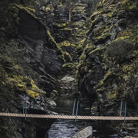 Mira Douro Valley Marco de Canavezes