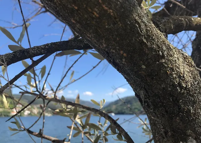 Σπίτι διακοπών Mira Douro Valley