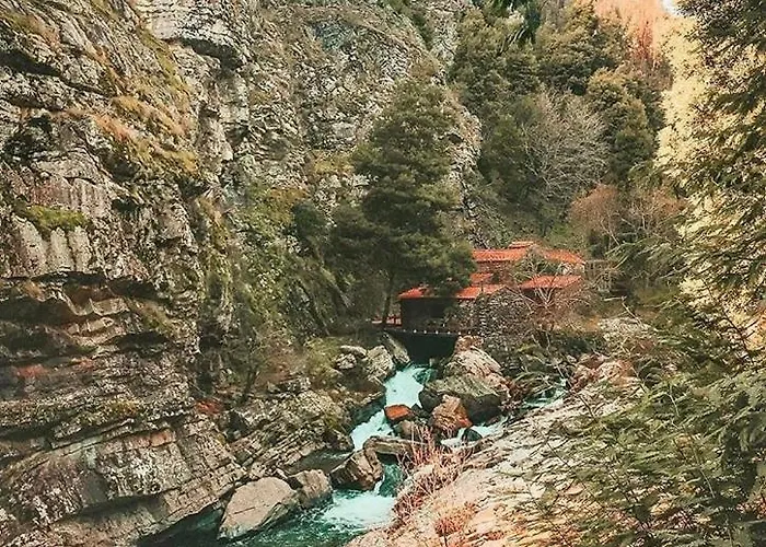 Mira Douro Valley Σπίτι διακοπών