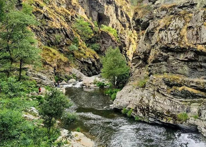 Holiday home Mira Douro Valley *